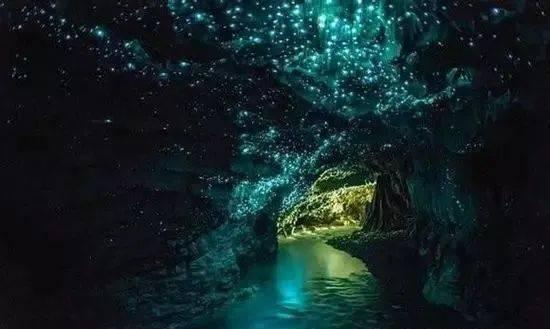 灵活动起的力量:集装箱健身房的经济智慧