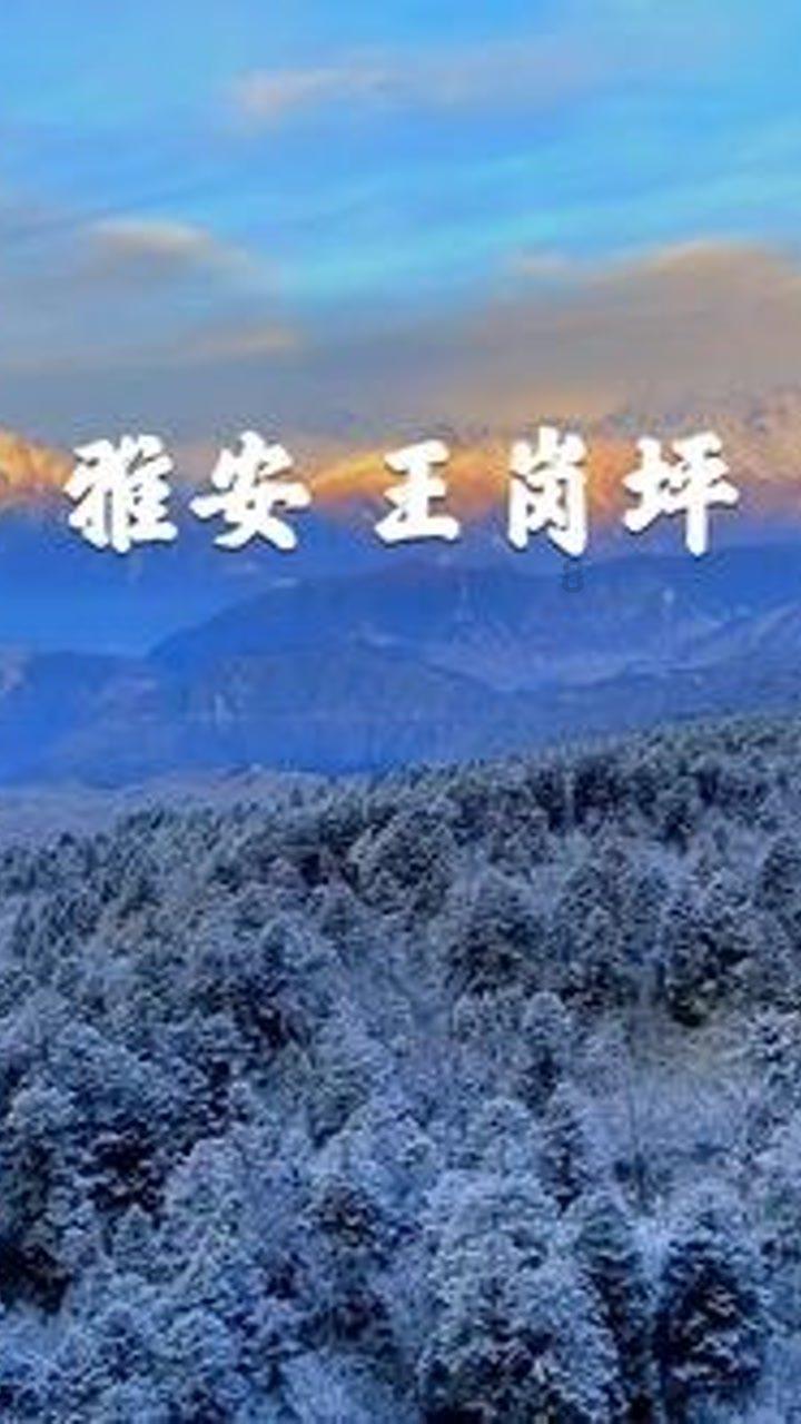 小红帽找不同