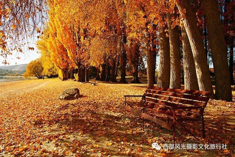 高效问答-北京话:“人家他爸是看青的出身” ,“看青”是什么意思?-北京话:“人家他爸是看青的出身” ,“看青”是什么意思?文集