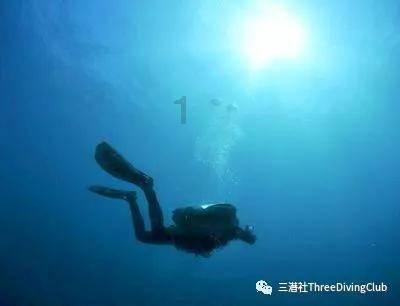 骨头汤里出现很多肉末一样的絮状物游戏画面