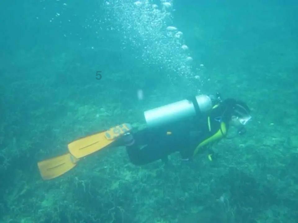逃离废墟镇