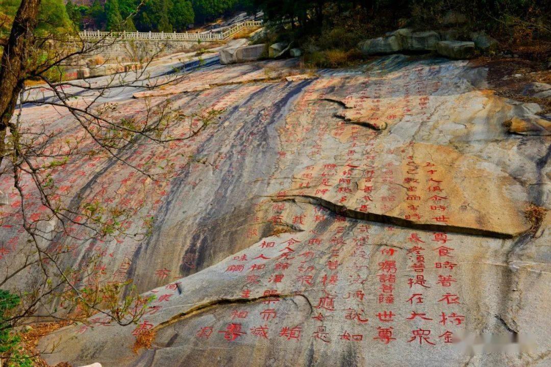 “杀人犯”事迹写入教科书，被当英雄18年，东窗事发判无期