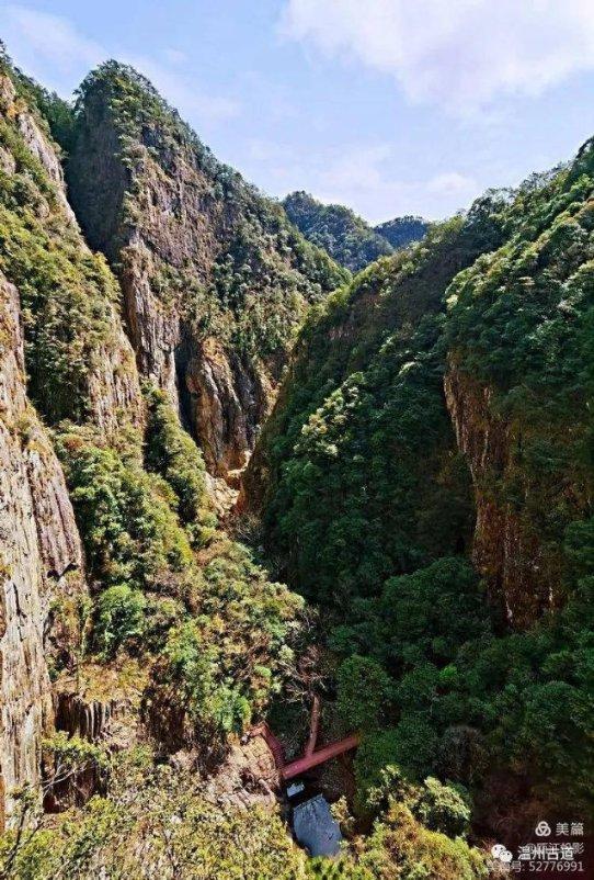 小僵尸消消看