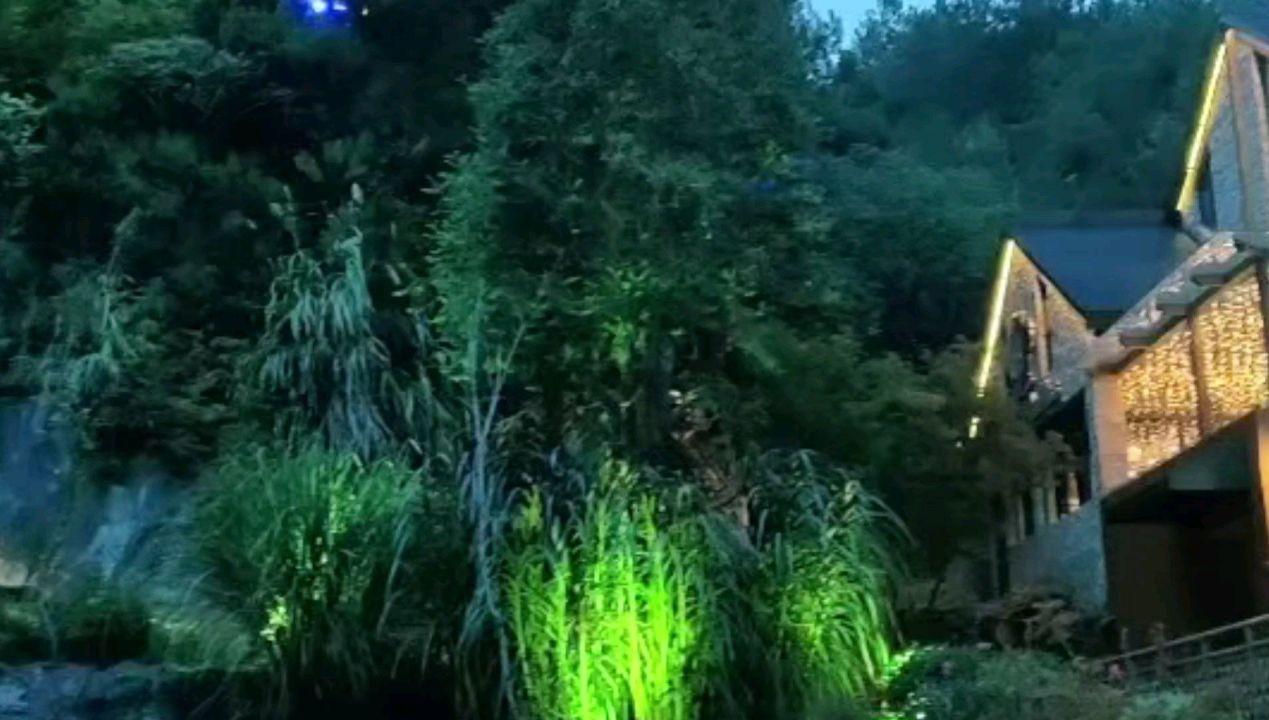 可爱猫咪救援